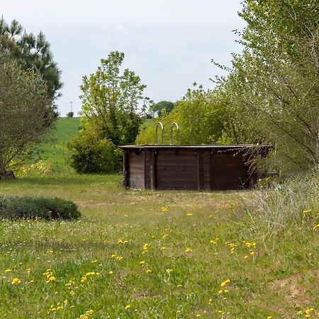 Вілла La Decouverte, Jacuzzi, Sauna, Et Terrasse Avec Vue Sur Lac A La Campagne Entre Toulouse Et Auch Catonvielle Екстер'єр фото