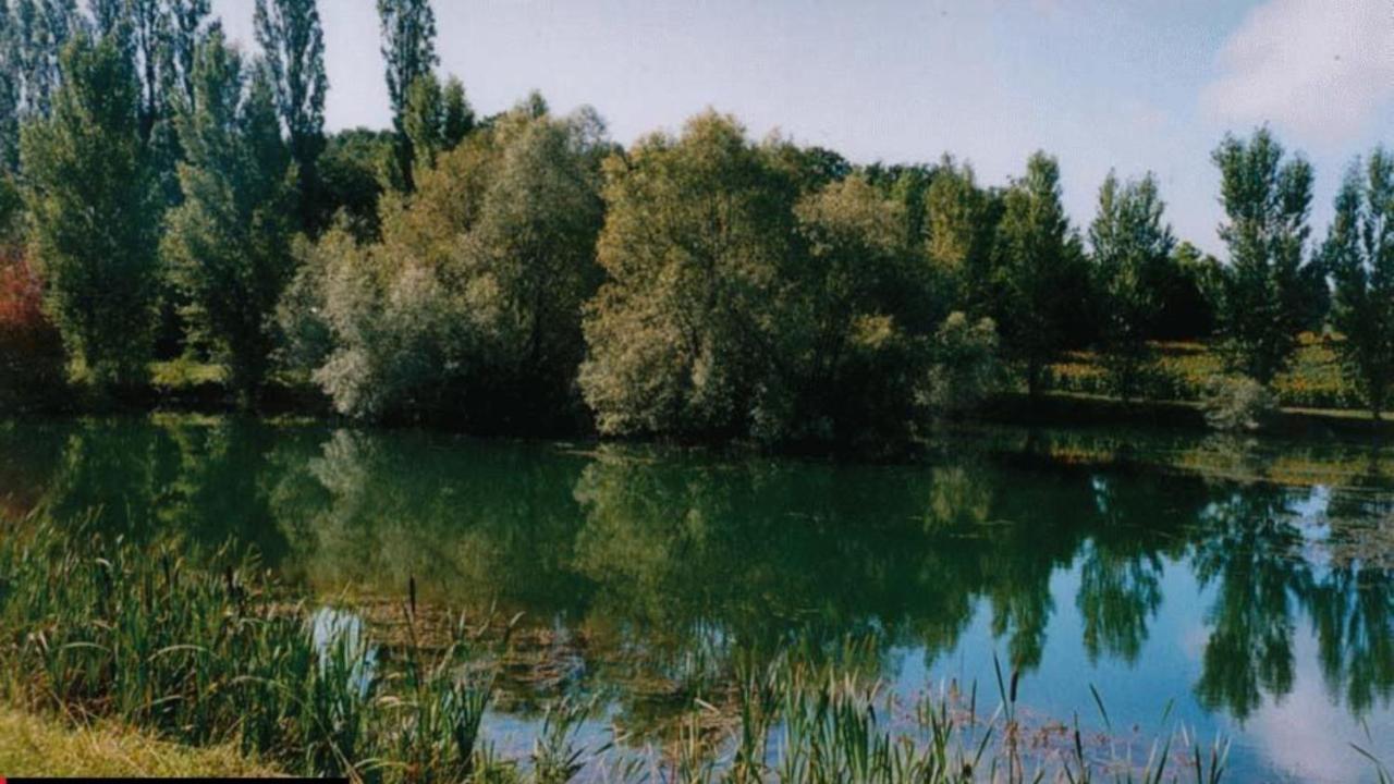 Вілла La Decouverte, Jacuzzi, Sauna, Et Terrasse Avec Vue Sur Lac A La Campagne Entre Toulouse Et Auch Catonvielle Екстер'єр фото