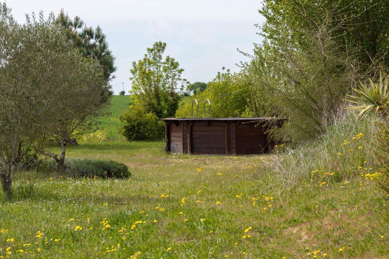 La Decouverte, Jacuzzi, Sauna, Et Terrasse Avec Vue Sur Lac A La Campagne Entre Toulouse Et Auch Catonvielle Екстер'єр фото
