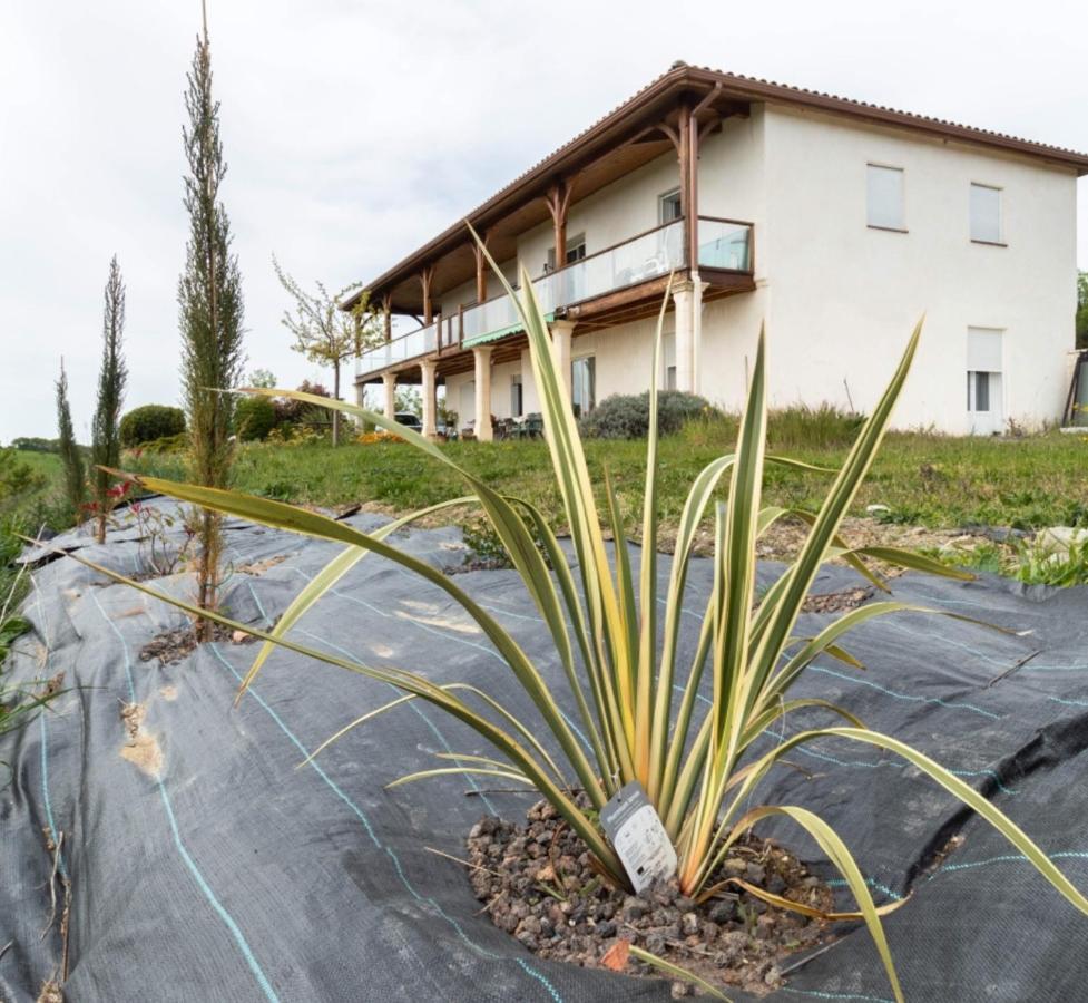 La Decouverte, Jacuzzi, Sauna, Et Terrasse Avec Vue Sur Lac A La Campagne Entre Toulouse Et Auch Catonvielle Екстер'єр фото